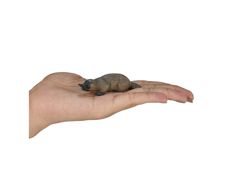 Mojo Wildlife Platypus