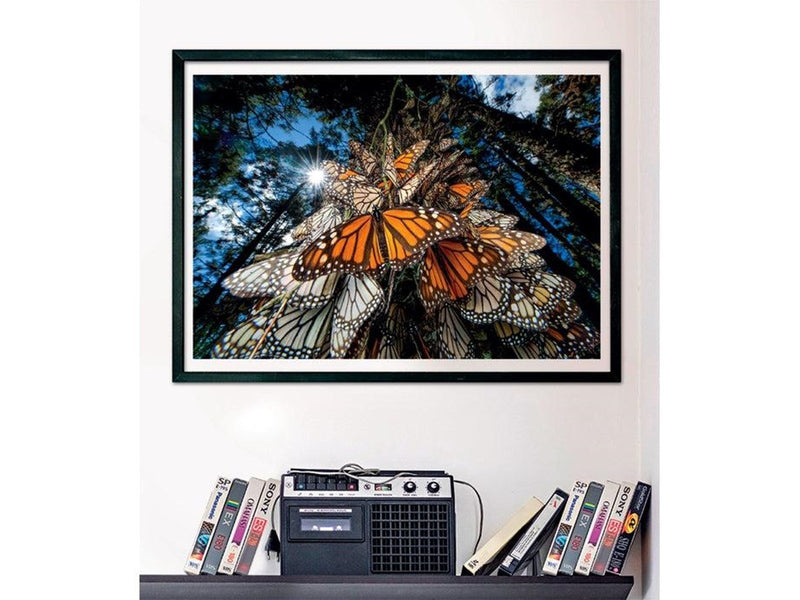 Clementoni Jigsaw Puzzle National Geographics - Butterfly 1000 pcs. Boden