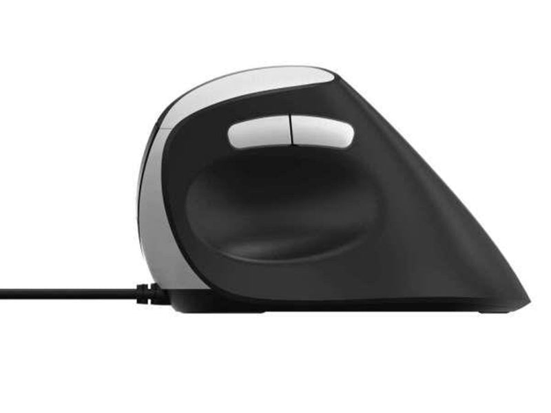 RAPOO EV200 - Ergonomische Maus (Schwarz)