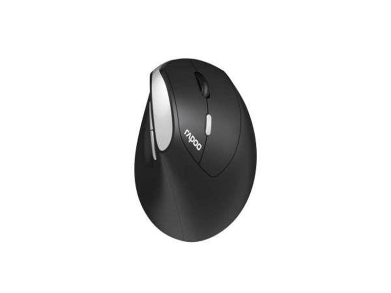 RAPOO EV250 - Ergonomische Maus (Schwarz)