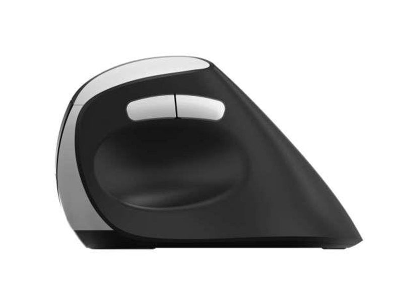 RAPOO EV250 - Ergonomische Maus (Schwarz)