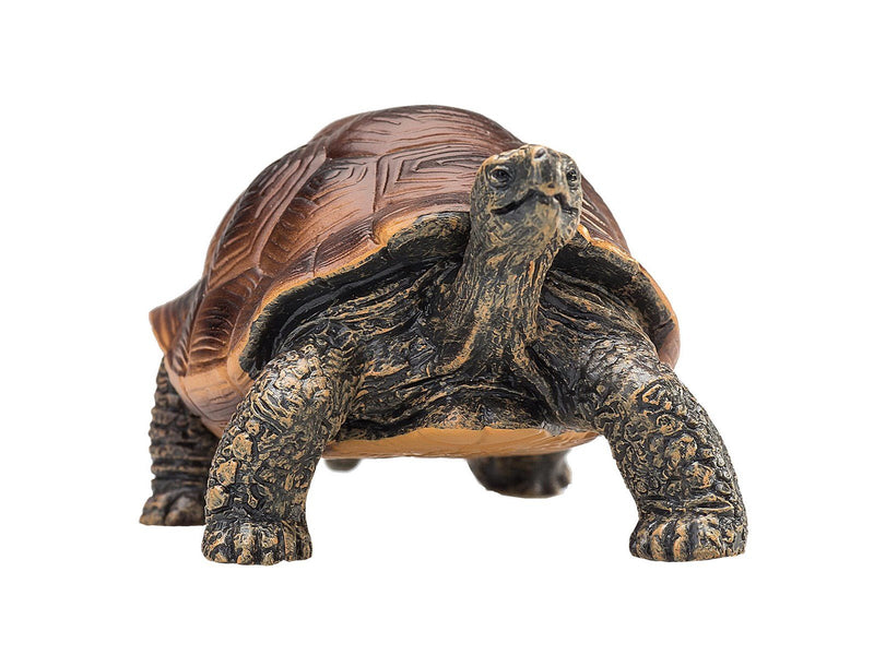 Mojo Wildlife Giant Tortoise