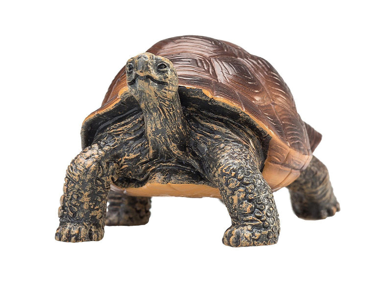 Mojo Wildlife Giant Tortoise