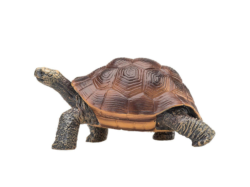 Mojo Wildlife Giant Tortoise