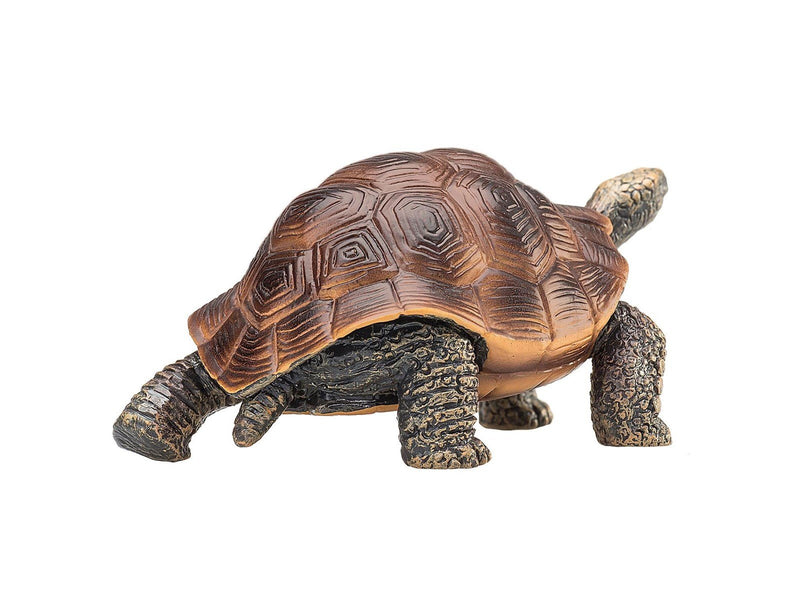 Mojo Wildlife Giant Tortoise
