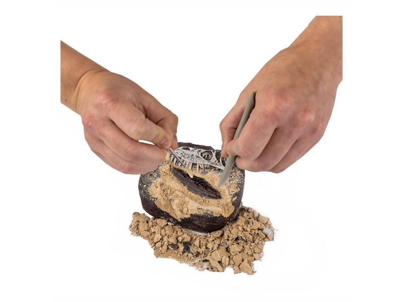 National Geographic Dinosaur Fossil Dig Kit
