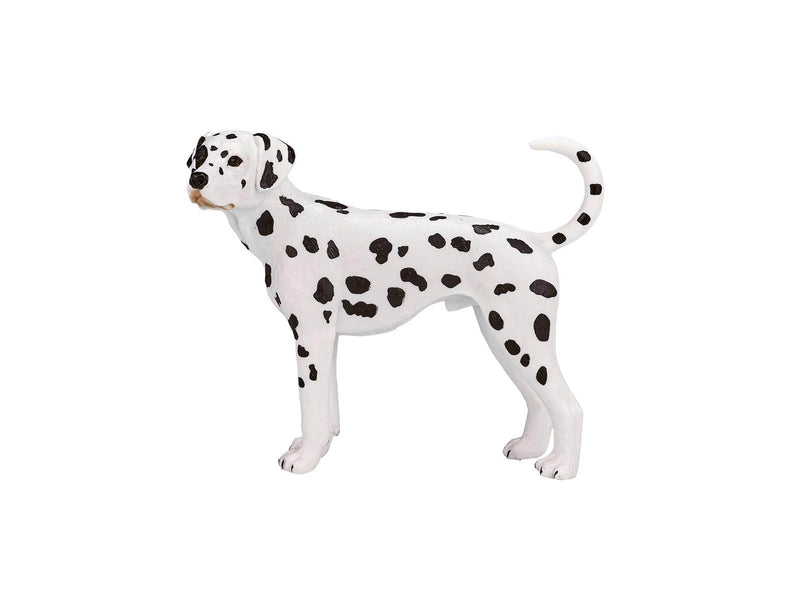 Mojo Farmland Dalmatian
