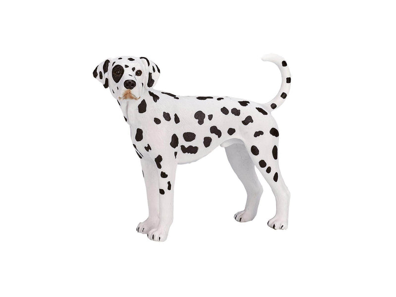 Mojo Farmland Dalmatian