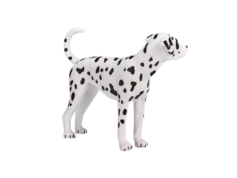 Mojo Farmland Dalmatian