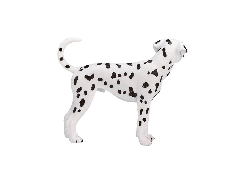 Mojo Farmland Dalmatian