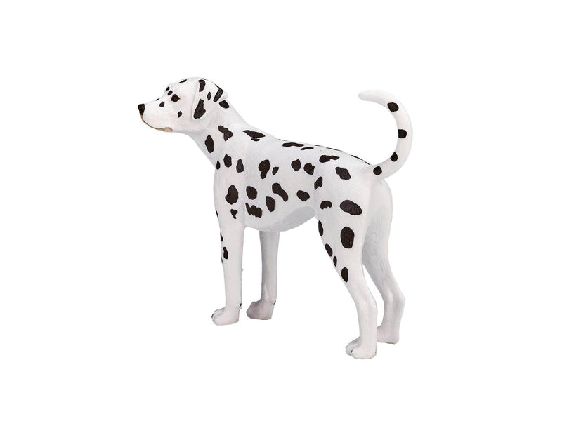 Mojo Farmland Dalmatian