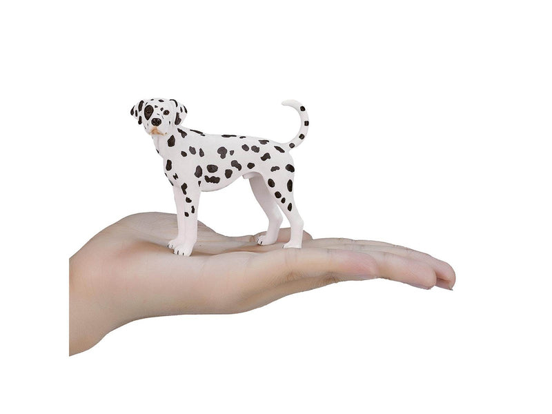 Mojo Farmland Dalmatian