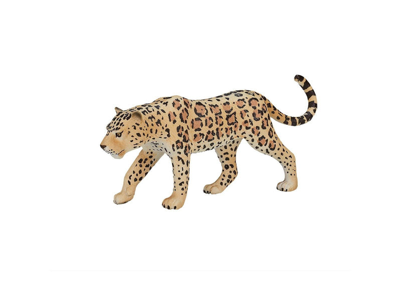 Mojo Wildlife Leopard