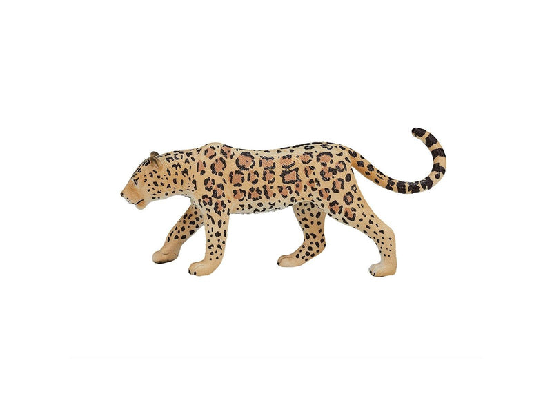 Mojo Wildlife Leopard