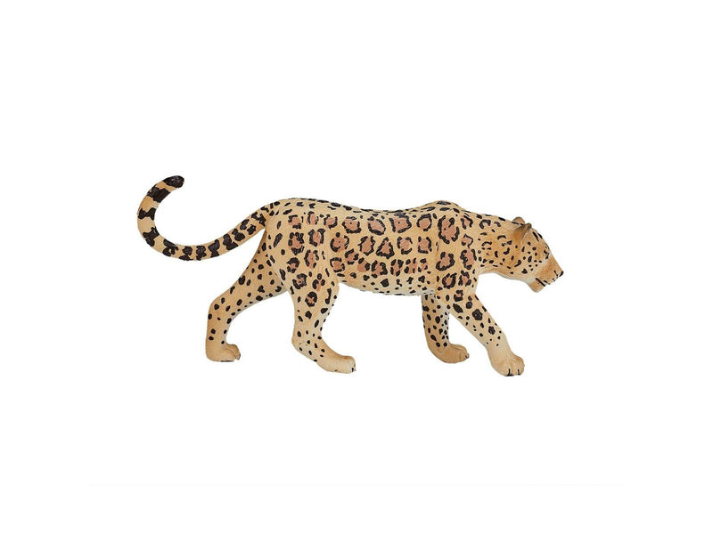Mojo Wildlife Leopard
