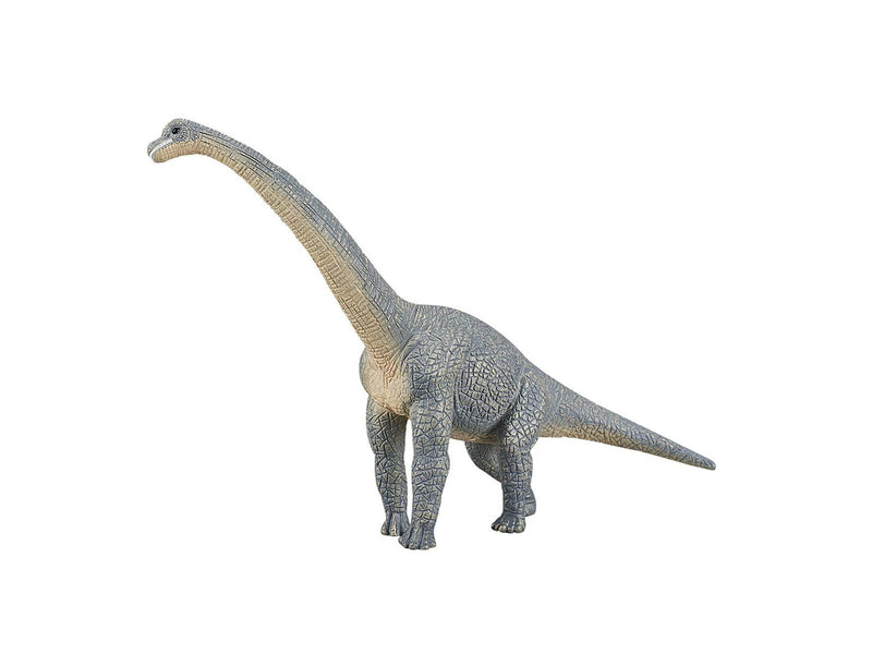 Mojo Prehistory Brachiosaurus