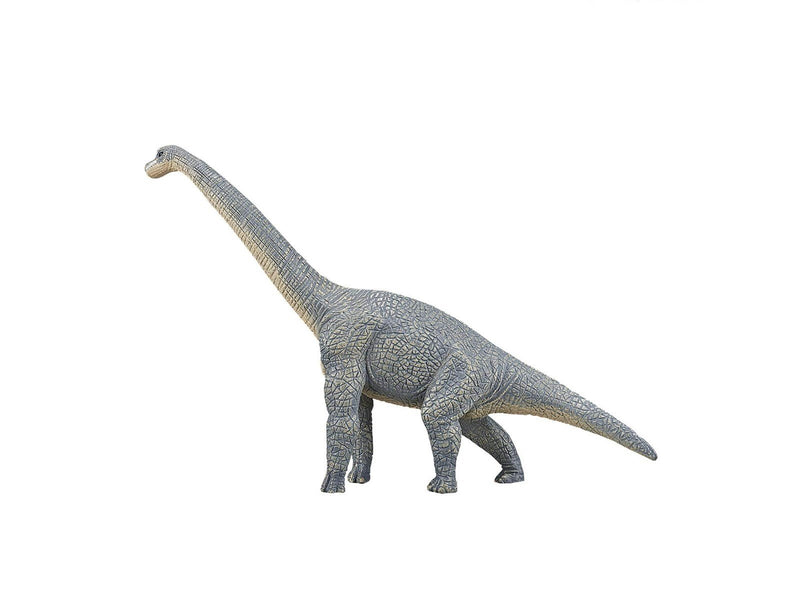 Mojo Prehistory Brachiosaurus