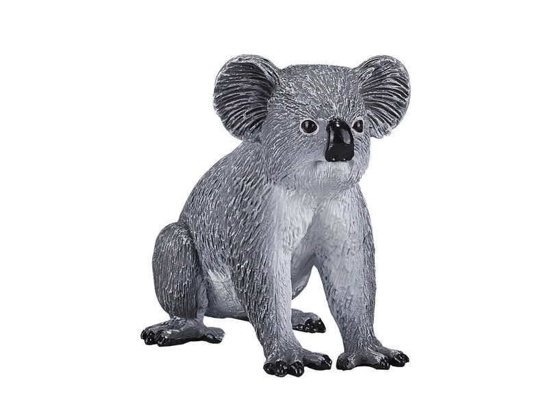 Mojo Wildlife Koala