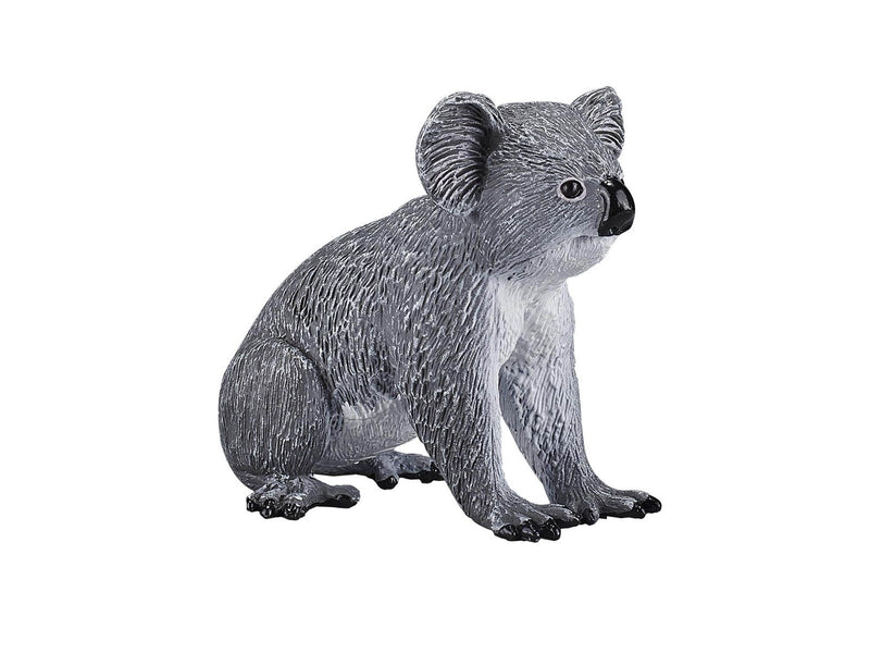 Mojo Wildlife Koala