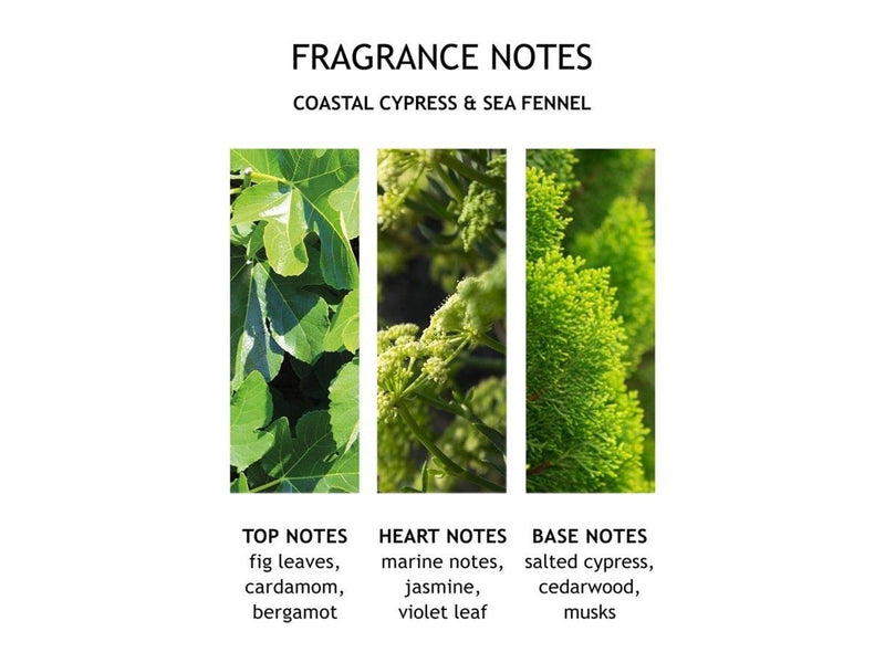 Molton Brown Infinite Bottle Coastal Cypress & Sea Fennel Bath & Shower Gel 400 ml