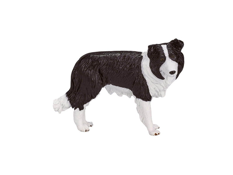 Mojo Farmland Border Collie - 387203