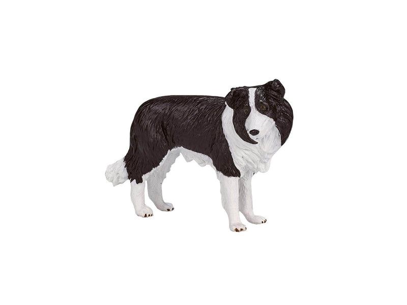 Mojo Farmland Border Collie - 387203