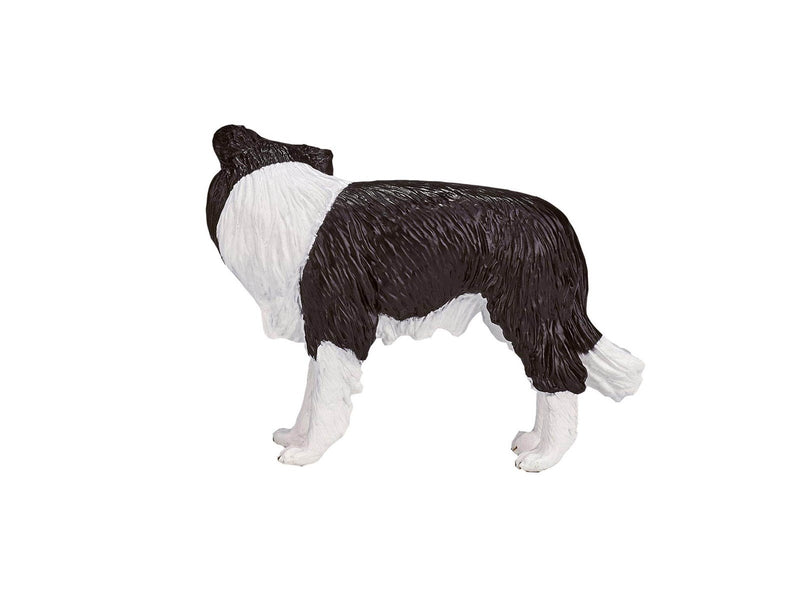 Mojo Farmland Border Collie - 387203