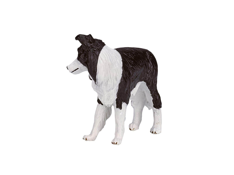 Mojo Farmland Border Collie - 387203