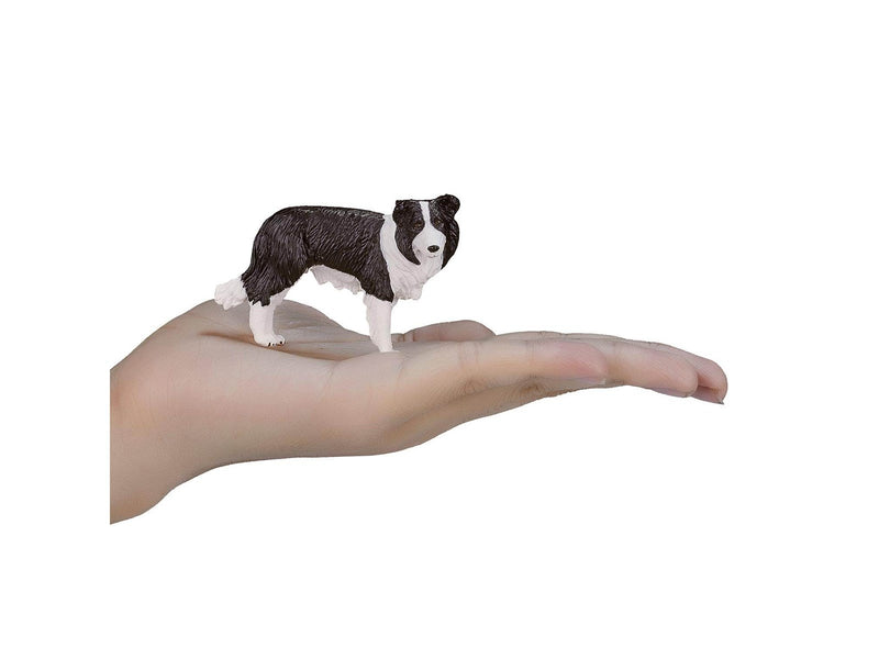Mojo Farmland Border Collie - 387203
