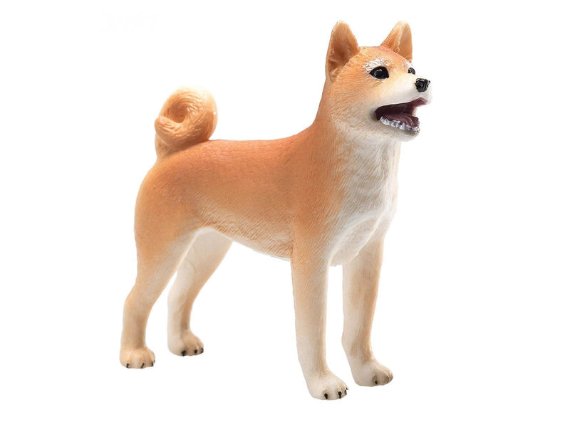Mojo Farmland Shiba Inu