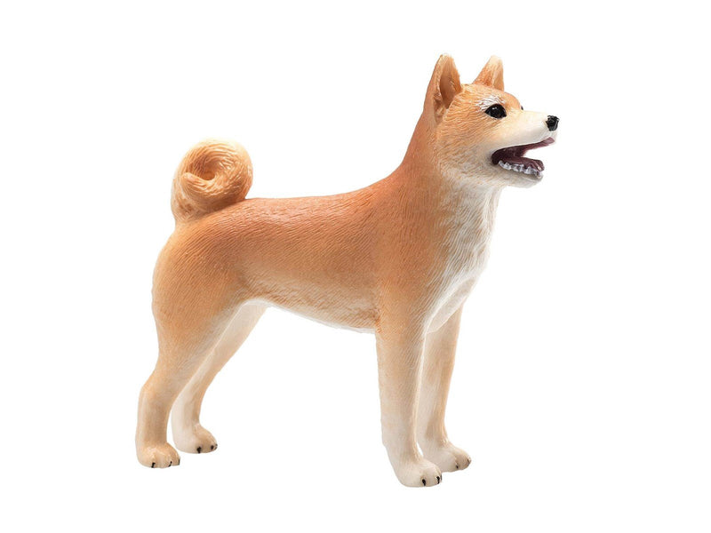 Mojo Farmland Shiba Inu