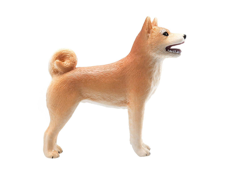Mojo Farmland Shiba Inu