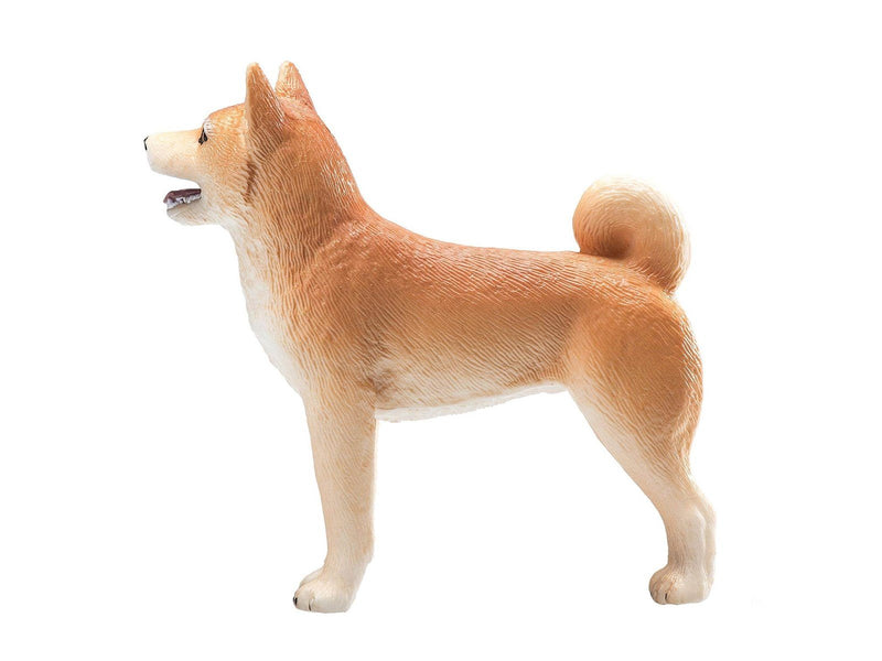 Mojo Farmland Shiba Inu