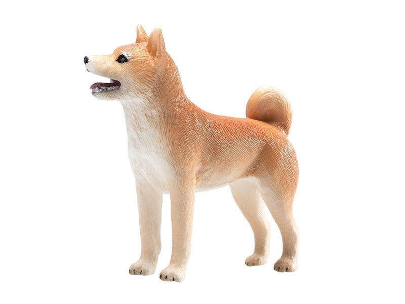 Mojo Farmland Shiba Inu
