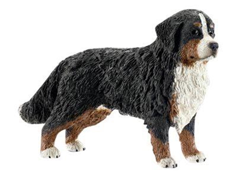 Schleich Bernese mountain dog female
