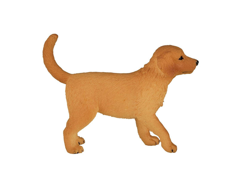 Mojo Farmland Golden Retriever Puppy - 387205