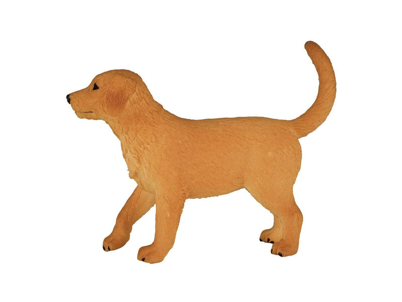 Mojo Farmland Golden Retriever Puppy - 387205