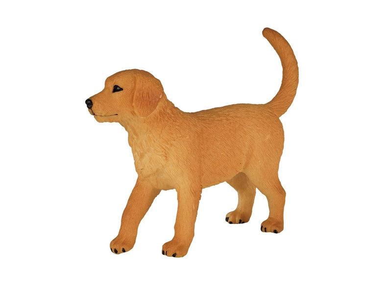 Mojo Farmland Golden Retriever Puppy - 387205