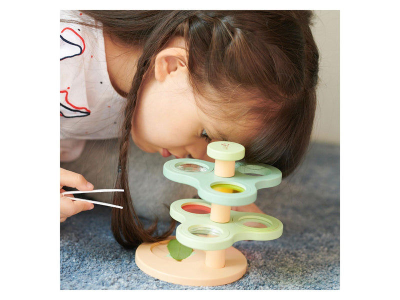 Classic World Wooden Insects and Discovery Set 2 pcs.