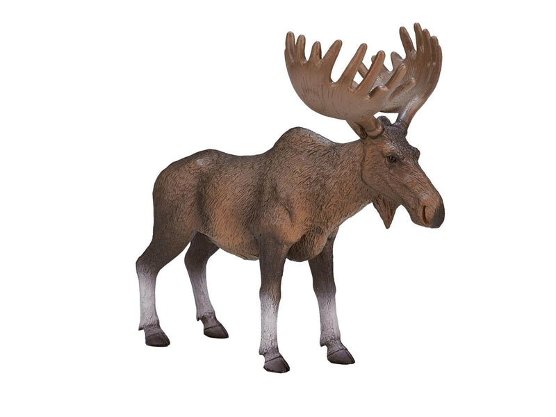 Mojo Wildlife European Elk