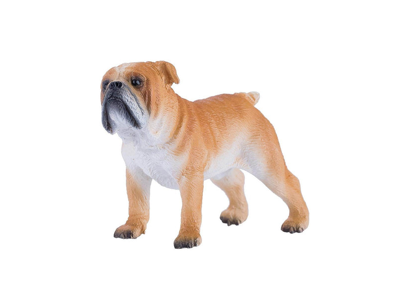 Mojo Farmland English Bulldog - 381053