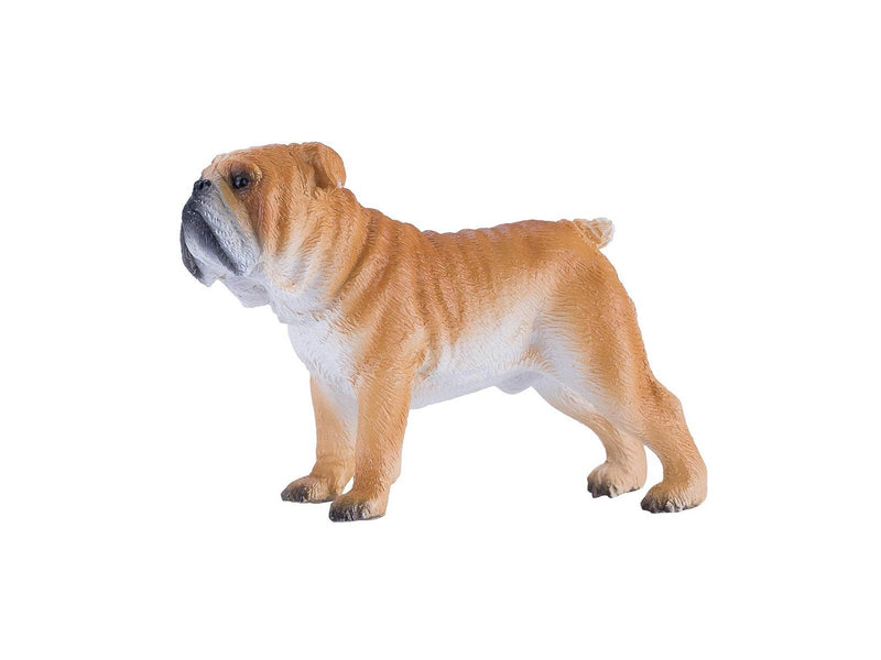 Mojo Farmland English Bulldog - 381053