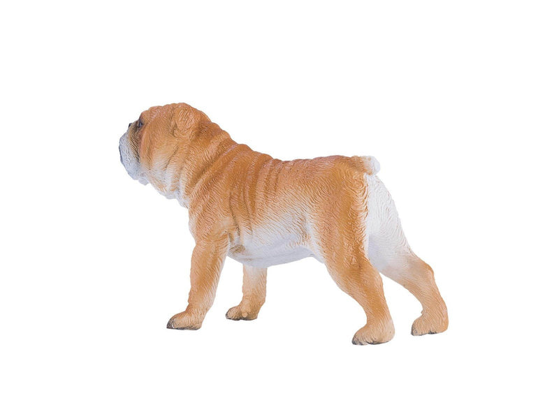Mojo Farmland English Bulldog - 381053