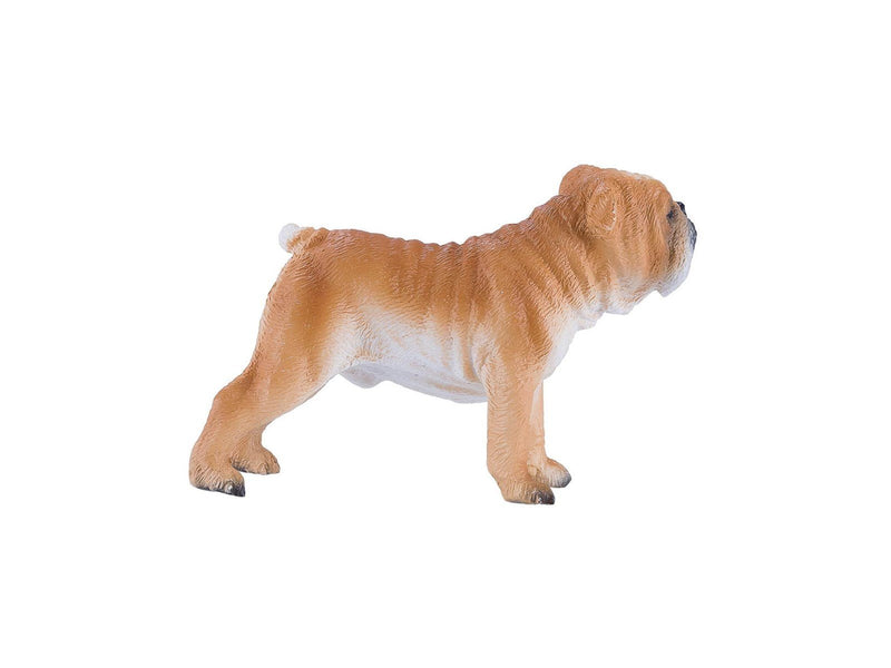 Mojo Farmland English Bulldog - 381053