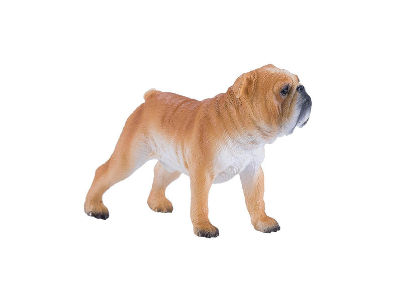 Mojo Farmland English Bulldog - 381053