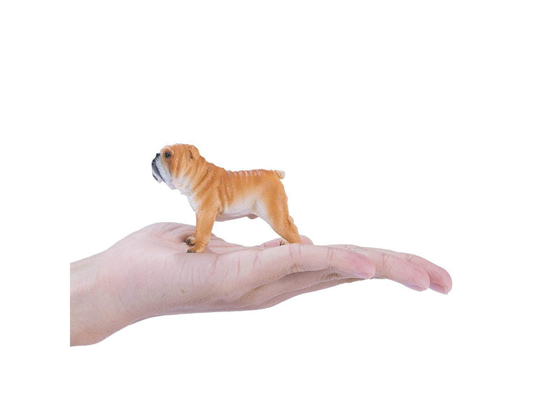Mojo Farmland English Bulldog - 381053