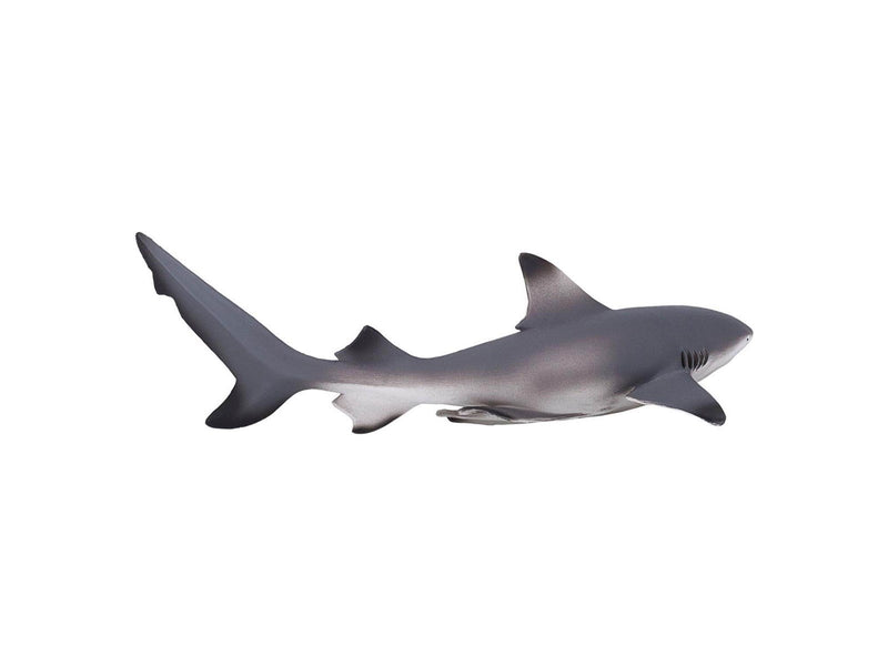Mojo Sealife Blacktip Reef Shark 387357