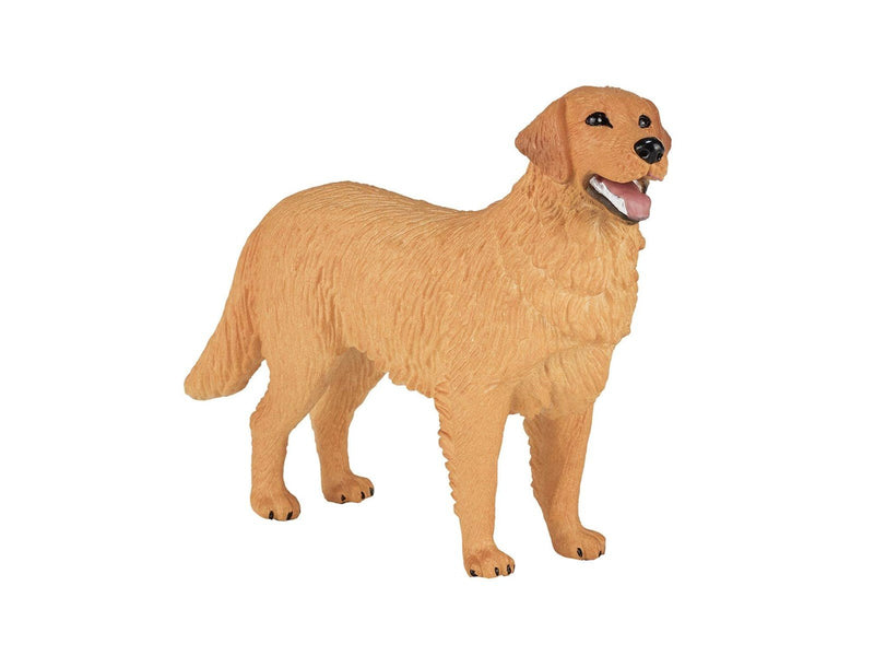 Mojo Farmland Golden Retriever - 387198