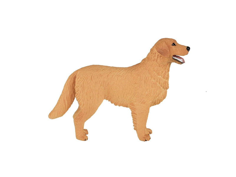 Mojo Farmland Golden Retriever - 387198