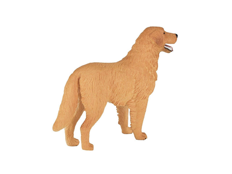 Mojo Farmland Golden Retriever - 387198